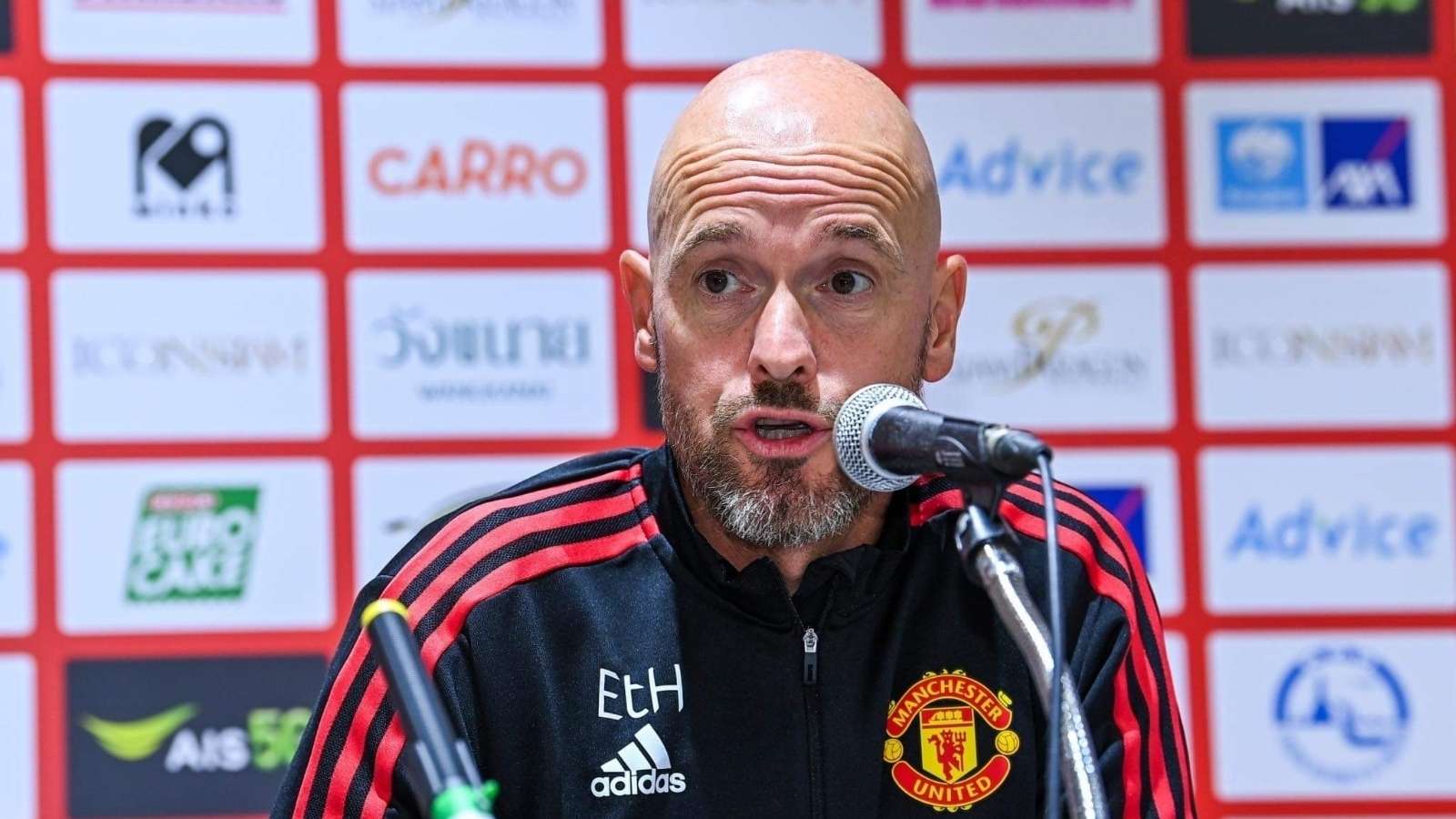 不仅展示了 不仅展示了